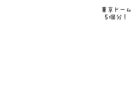 25ヘクタールの面積で、年間約150tのお米を生産しています