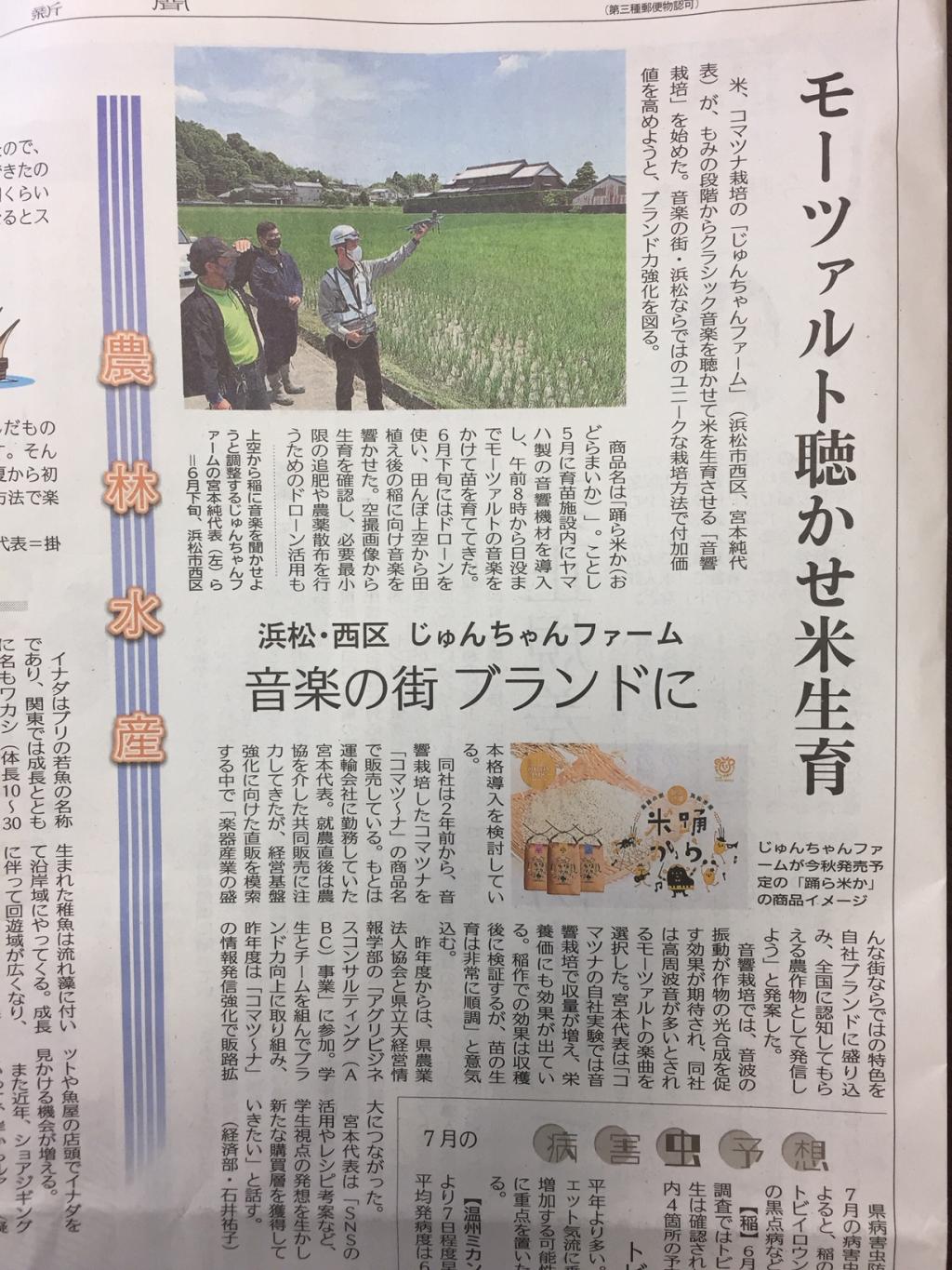 モーツァルトを聴かせて育てた『踊ら米か』！静岡新聞様に掲載頂きました！