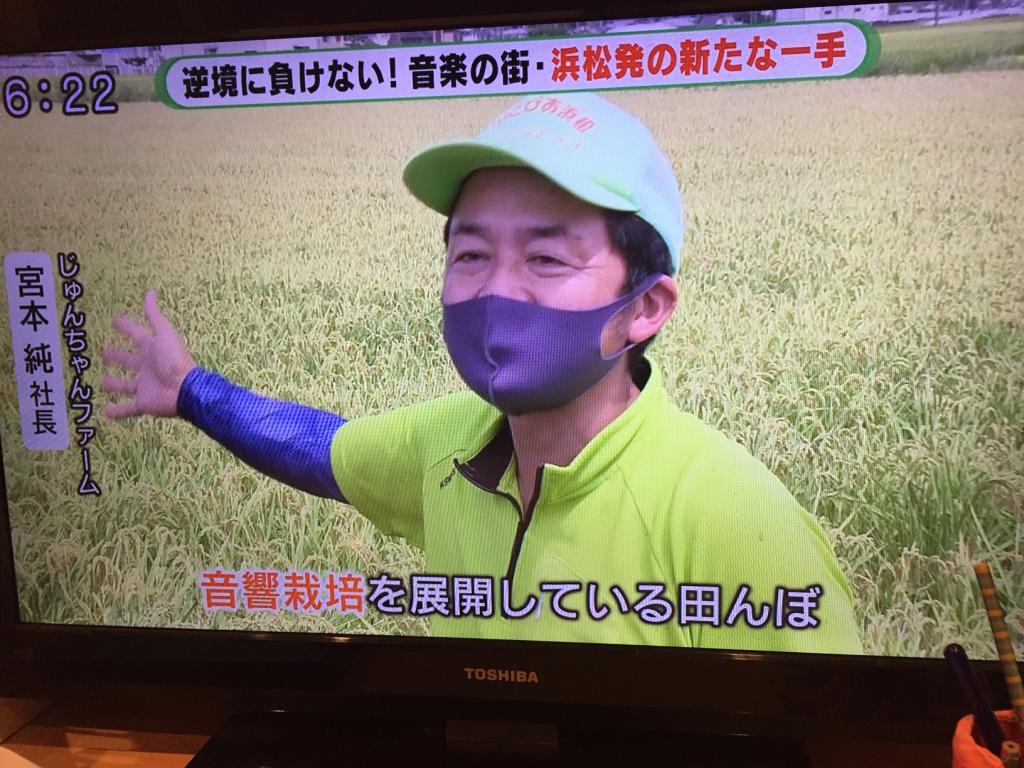 テレビ静岡『ただいまテレビ』で弊社が紹介されました！
