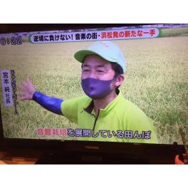 テレビ静岡『ただいまテレビ』で弊社が紹介されました！